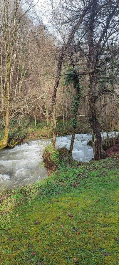 La Chapelle-du-Bard Le Clos Du Tulipier المظهر الخارجي الصورة